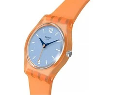 Laikrodis Swatch Vaizdas iš Mesa LO116