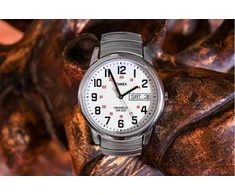 Laikrodis Timex Easy Reader T20461
