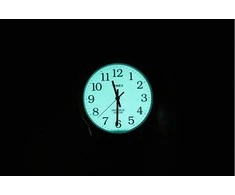 Vyriškas laikrodis TIMEX Easy Reader TW2R58400 + BOX
