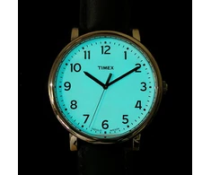Laikrodis Timex Men`s Style T2N338