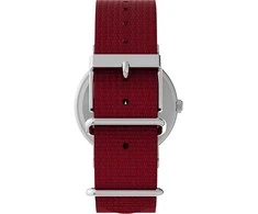 Laikrodis Timex Peanuts Weekender TW2Y117006B