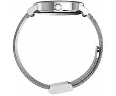 Laikrodis Timex Trend TW2Y69100UK