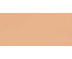 Lancome Makeup in a stick Teint Idole Ultra Wear Shape Stick 9 g