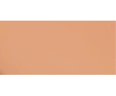 Lancome Makeup in a stick Teint Idole Ultra Wear Shape Stick 9 g