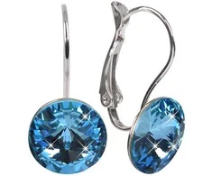 Levien Elegant Rivoli Aquamarine earrings
