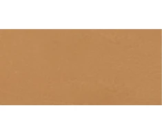 L'Oreal Balm makeup True Match Hyaluron Tinted Balm 8 g