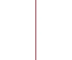 L'Oreal Blurfiller Blurring Lip Contour 1 g