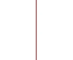 L'Oreal Blurfiller Blurring Lip Contour 1 g