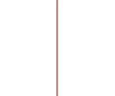L'Oreal Blurfiller Blurring Lip Contour 1 g