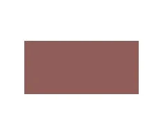 L'Oréal Paris Color Riche Lip Pieštukas