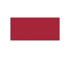 L'Oreal Colour Riche Blurred Matte Lipstick 4.3 g