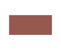 L'Oreal Colour Riche Blurred Matte Lipstick 4.3 g