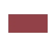L'Oreal Colour Riche Blurred Matte Lipstick 4.3 g