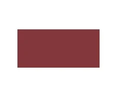 L'Oreal Colour Riche Blurred Matte Lipstick 4.3 g