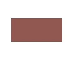 L'Oreal Colour Riche Blurred Matte Lipstick 4.3 g