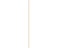 Mac Cosmetics Lip gloss Squirt Plumping Gloss Stick 2.8 g