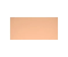 MAC Studio Fix Powder Plus Ultra-Matte Finish Compact Foundation C5.5, 15 g
