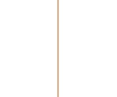 Mac Cosmetics Multifunctional lip pencil Dazzle Lips Crayon 1.5 g
