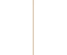 Mac Cosmetics Multifunctional lip pencil Dazzle Lips Crayon 1.5 g
