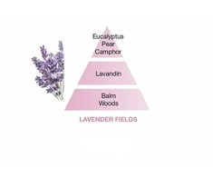 Maison Berger Paris Catalytic lamp refill Levander Fields (Lampe Recharge/Refill) 500 ml