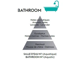 Maison Berger Paris Refill for anti-odor diffuser in Aquatic bathroom (Anti-odour Bathroom) 200 ml
