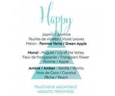 Drėkintuvas Maison Berger Paris Aroma Happy Aquatic Fresheness Car Diffuser Recharge/Refill 2 pcs