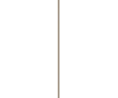 Maybelline Brow Insert Ash Brown 1 U