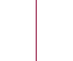 Maybelline Skysti lūpų dažai „Superstay Vinyl Ink“ 4,2 ml
