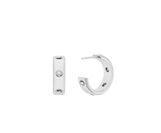 Michael Kors Fashion round earrings Premium MKJ8617040