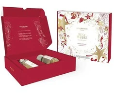 Millefiori Milano Panettone Classico gift set