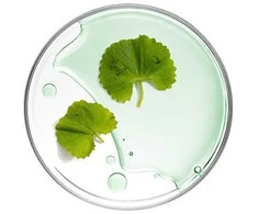 Vienkartinė veido kaukė Mizon Cicaluronic Vanduo Fit Mask, su azijine centele ir hialurono rūgštimi, intensyviai drėkinanti, 24 g