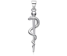 Moiss Sidabrinis pendant Aesculapius' staff P0001837