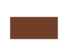 NARS LIGHT REFLECTING FOUNDATION, Zambie