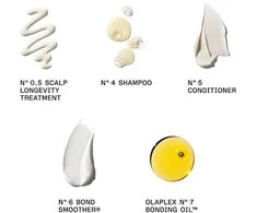 Olaplex The Healthy Hair Discovery Set