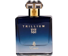 Emir Trillium EDP parfumuotas vanduo vyrams, 100 ml