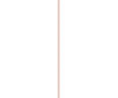Pupa Milano Pupa Pleasure Lip Oil 5 ml