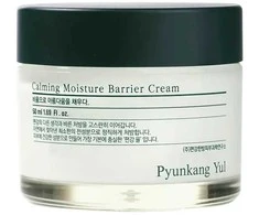 Pyunkang Yul raminamasis drėkinamasis veido kremas su drėkinamuoju barjeru (drėkinamasis kremas), 50 ml