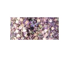 Rimmel Glitter Bomb Nagų lakas 8 ml 019 Disco Diva