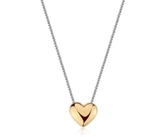 Sagapo Steel bicolor pakabukas for women Heart Stellar SSE56