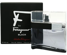 Salvatore Ferragamo Ferragamo F by Ferragamo Juodas