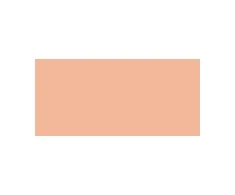 Shiseido Compact make-up SPF 10 (Tanning Compact Foundation) 12 g, Natural