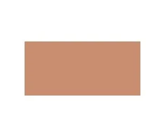 Shiseido Tanning kompaktinė Makiažo pagrindas SPF10, 12 g