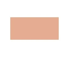 Shiseido SHISEIDO SUN TAN COMP FDT NATURAL - PILDYMAS 12G