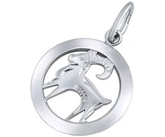 Sidabrinis pakabukas zodiako ženklas Ožiaragis - apvalus SILVEGOB10283S01