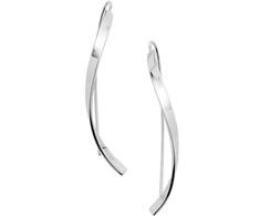 Skagen Elegant steel earrings SKJ1199040