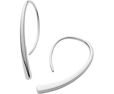 Skagen Luxury steel earrings SKJ1057040