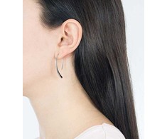Skagen Luxury steel earrings SKJ1057040