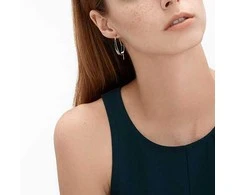 Skagen Luxury steel earrings SKJ1077040