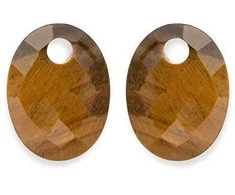 Sparkling EAGEM09-MO oval tiger eye earring pendants