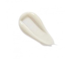StriVectin Kaklo serumas su kaklą patempiančiu aplikatoriumi (kaklo serumo volelis) 50 ml